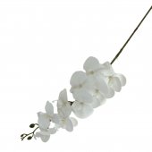 Flori Artificiale Orhidee Alba 9/Fir