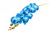 Flori Artificiale Orhidee Albastru 9/Fir