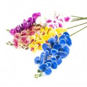 Flori Artificiale Orhidee Cu 7 Flori /Fir Din Plastic Siliconat