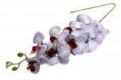 Flori Artificiale Orhidee Lila Prafuit 9/Fir
