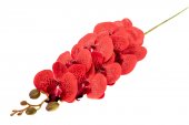 Flori Artificiale Orhidee Rosu 9/Fir
