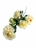 Flori Artificiale Trandafiri Infloriti 5 Flori Pe Fir Crem