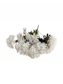Flori Artificiale Tufanica Alb