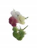 Flori Artificiale Varza Ornamentala verde