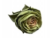Flori Suculente Artificiale Verde Roz Mare