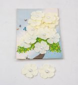 Floricele Din Hartie 16/set Crem