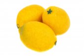 Fructe Artificiale Lamaie Plastic Mare