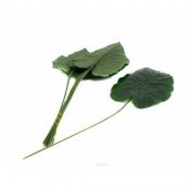 Frunze 12/set 26cm