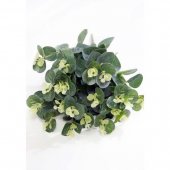 Frunze Artificiale Buchet Eucalipt Prafuit