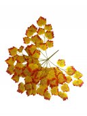 Frunze Artificiale De Artar Buchet Galben-Ruginiu