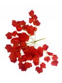 Frunze Artificiale De Artar Buchet Roscate