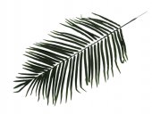 Frunze Artificiale De Palmier 70 Cm/12/Set
