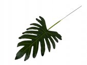 Frunze Artificiale Monstera 60Cm
