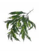 Frunze Feriga Buchet Artificial Lung