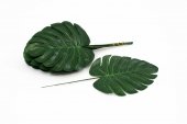 Frunze Filodendron 27cm 12/set