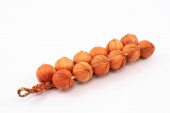 Funii Fructe Si Legume Ceapa Alba 2/Set