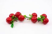 Funii Fructe Si Legume Mere Rosii 2/set