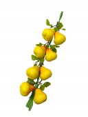 Funii Fructe Si Legume Pere Galbene 2/set