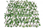Gard Artificial Extensibil Frunze Iedera