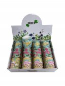 Ghiiveci Din Ceramica 12/Set Model 002