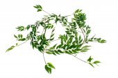 Ghirlanda Artificiala Frunze Maslin Verde