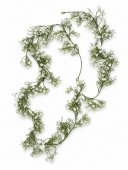 Ghirlanda Floarea Miresei