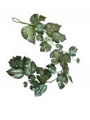 Ghirlanda Frunze Exotica 1,8m