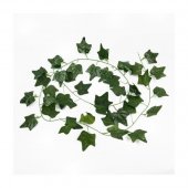Ghirlanda Frunze Iedera Mica 12/set