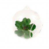 Glob Din Sticla Cu Orificiu 8 Cm