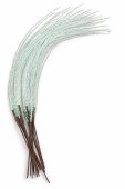 Iarba Decorativa Fosforescenta, set 12 buc