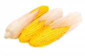 Legume Artificiale Porumb
