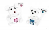 Marturie Botez Ursulet Sticla It's a Boy,Girl