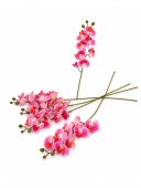 Orhidee 8 Flori Roz Deschis