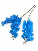 Orhidee 9 flori Bleu