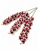 Orhidee artificiala 15 flori 36 Crem-Grena