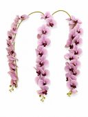 Orhidee artificiala 21 flori 103 Roz