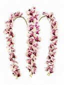 Orhidee artificiala 21 flori 30 Alb-Ciclam