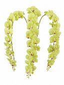 Orhidee artificiala 21 flori 32 Verde Pal