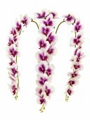 Orhidee artificiala 21 flori 61 Alb-Lila