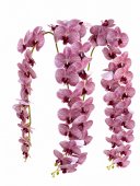 Orhidee artificiala 21 flori 85 Lila