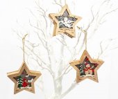 Ornament Craciun Stea Led