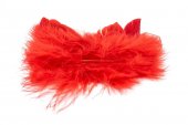 Ornament Din Pene Aripi Inger Mici Rosu