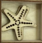 Ornament Decor Stea De Mare Lemn Natur 6/set