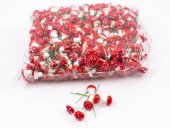 Ornament Plastic 100/set Ciupercute 3cm
