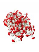 Ornament Plastic 100/set Ciupercute 4cm