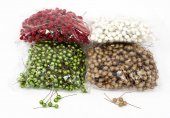 Ornament Plastic Bobite 500/set Inghetate