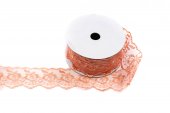 Panglica Dantela Brodata 4cm- 9m Somon
