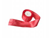 Panglica Satin 5cm/22m Corai163