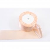 Panglica Satin 5cm/22m Somon 007