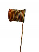 Panglica Tricolor 0.6cm/300yard